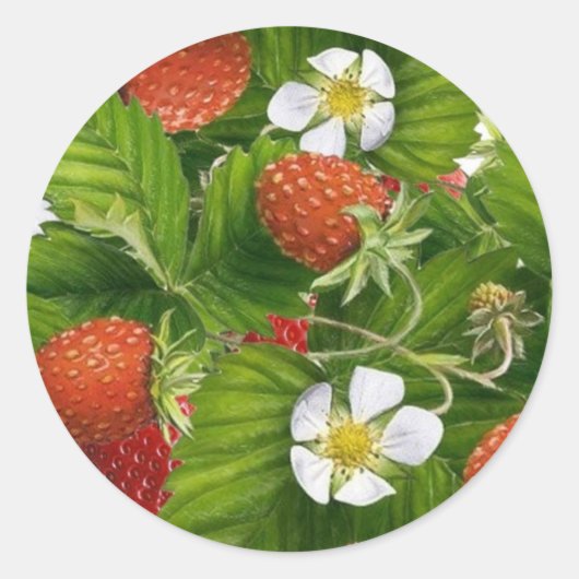 Strawberry Patch Runder Aufkleber (Vorderseite)