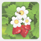 Strawberry-Pflanze Quadratischer Aufkleber (Vorderseite)