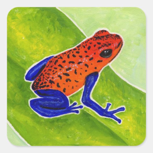 Strawberry Poison Dart Frog Quadratischer Aufkleber (Vorderseite)