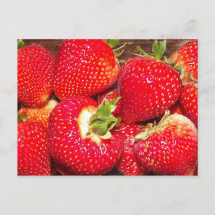 Strawberry Postcard Postkarte
