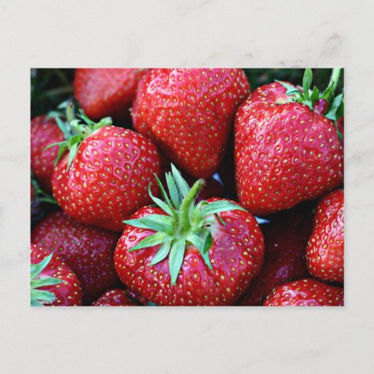 Strawberry Postkarten (Vorderseite)