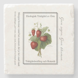 Strawberry seedling is a Christmas tree Steinuntersetzer