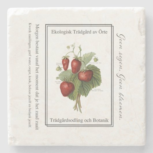 Strawberry seedling is a Christmas tree Steinuntersetzer (Vorderseite)