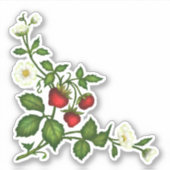 Strawberry Stickers Aufkleber (Vorderseite)