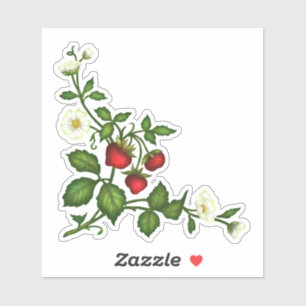 Strawberry Stickers Aufkleber