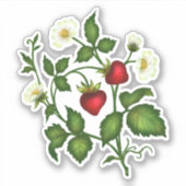 Strawberry Stickers Aufkleber (Vorderseite)