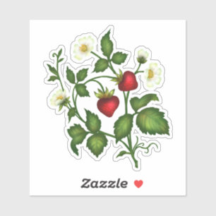 Strawberry Stickers Aufkleber