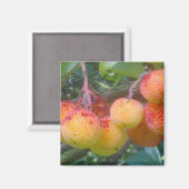 Strawberry Tree Fruit Magnet (Vorderseite/Rückseite)