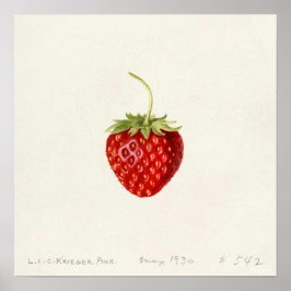 Strawberry (von Louis C.C. Krieger) Poster