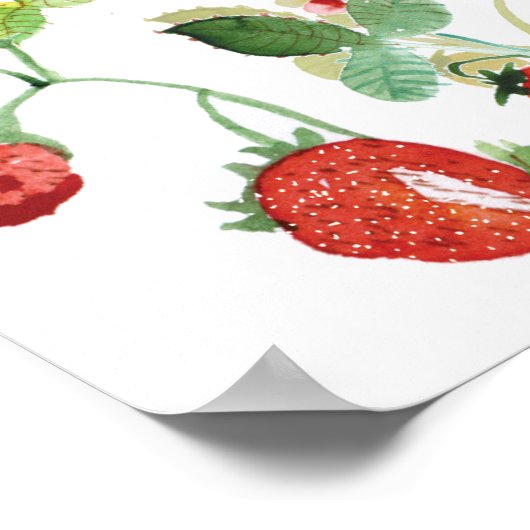 STRAWBERRYROOTS POSTER (Ecke)