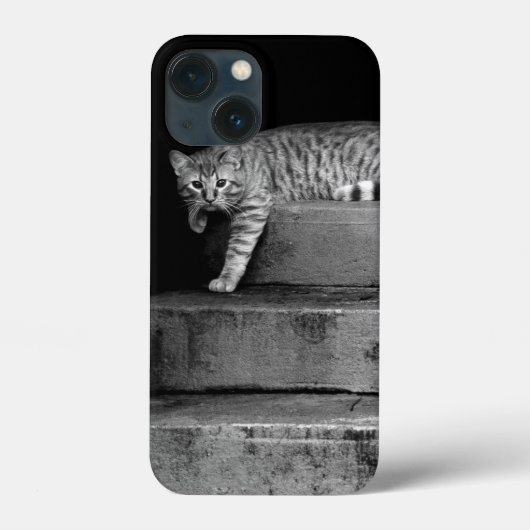 Stray Cat auf Treppen Case-Mate iPhone Hülle (Rückseite)