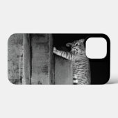 Stray Cat auf Treppen Case-Mate iPhone Hülle (Rückseite (Horizontal))