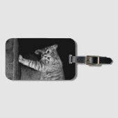 Stray Cat auf Treppen Gepäckanhänger (Vorderseite (Horizontal))