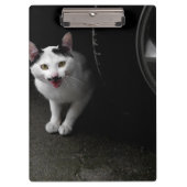 Stray Cat mit Mustache Klemmbrett (Vorderseite)