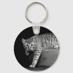 Stray Cat on Treairs Schlüsselanhänger