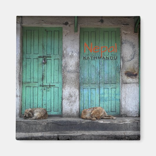 Stray dogs in Kathmandu, Nepal-Textmagnet Magnet (Vorne)