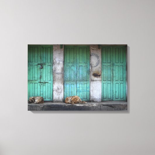 Stray dogs vor schmutziger grüner Leinwand (Vorderseite)