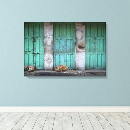 Stray dogs vor schmutziger grüner Leinwand (Insitu (Holzboden))