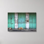 Stray dogs vor schmutziger grüner Leinwand (Vorderseite)