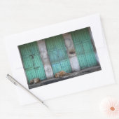 Stray Hunde vor dem Rechteck-Aufkleber Rechteckiger Aufkleber (Umschlag)