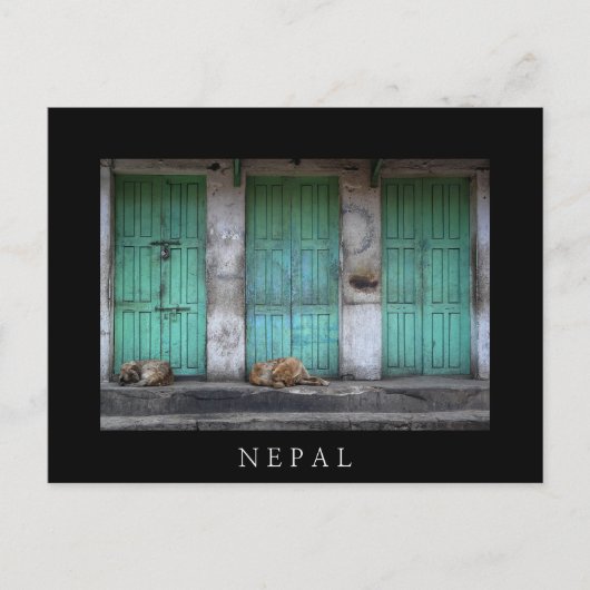Stray Hunde vor schmutzigen grünen Türen in Nepal Postkarte (Vorderseite)