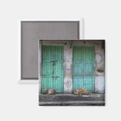 Stray Hunde vor schmutzigen grünen Türmagneten Magnet (Vorderseite/Rückseite)