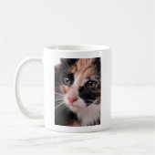 Stray Kitten Kaffeetasse (Links)