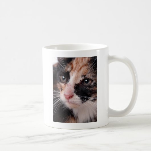 Stray Kitten Kaffeetasse (Rechts)
