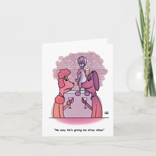 Stray Vibes Karte (Vorderseite)