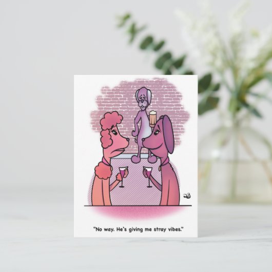 Stray Vibes Postkarte (Stehend Vorderseite)