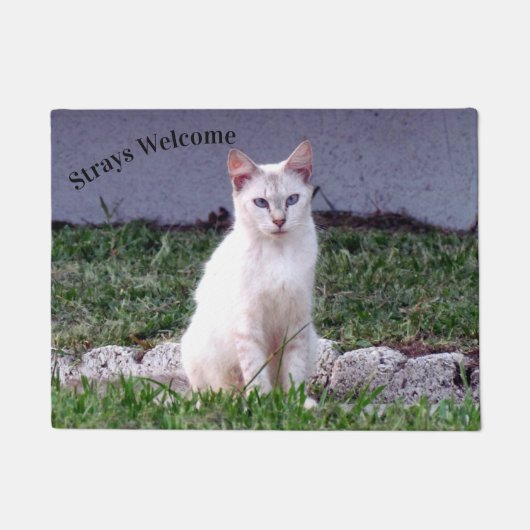 Strays Welcome - Siamese Stray Cat Doormat Fußmatte (Vorderseite)