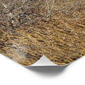 Strbske Pleso Poster (Ecke)