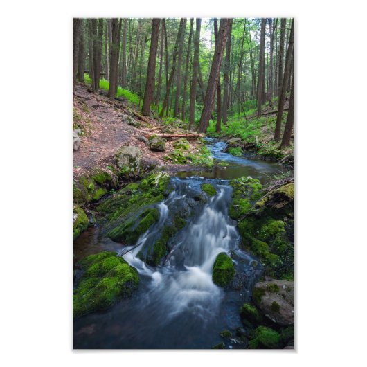 Stream Along the Trail Fotodruck (Vorne)