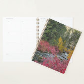 Stream Blooms Planer (Anzeige)