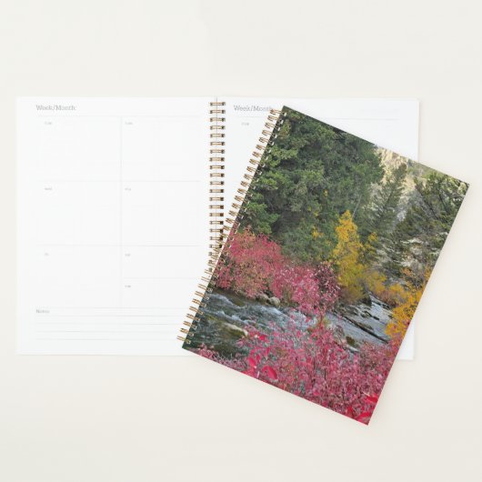 Stream Blooms Planer (Anzeige)