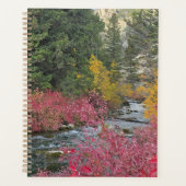 Stream Blooms Planner Planer (Vorderseite)