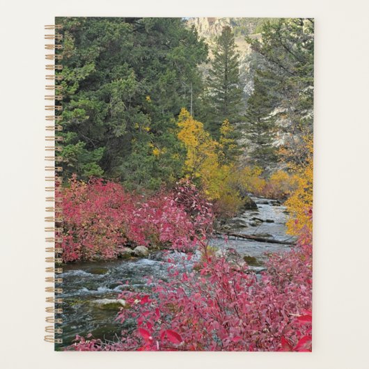 Stream Blooms Planner Planer (Vorderseite)