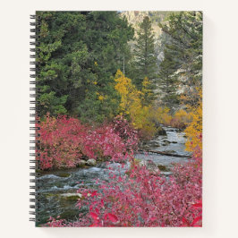 Stream Blooms Spiral Notebook Notizblock