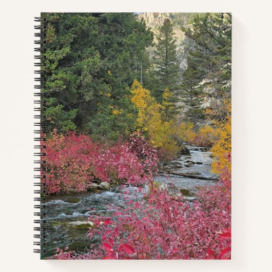 Stream Blooms Spiral Notebook Notizblock (Vorderseite)