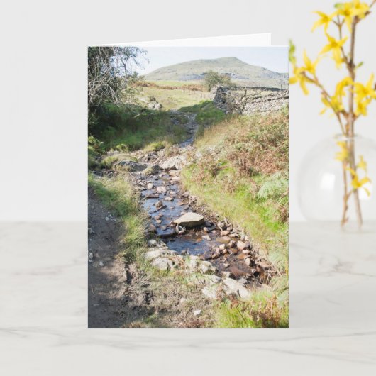 Stream Coniston Cumbrai England Karte (Gelbe Blume)