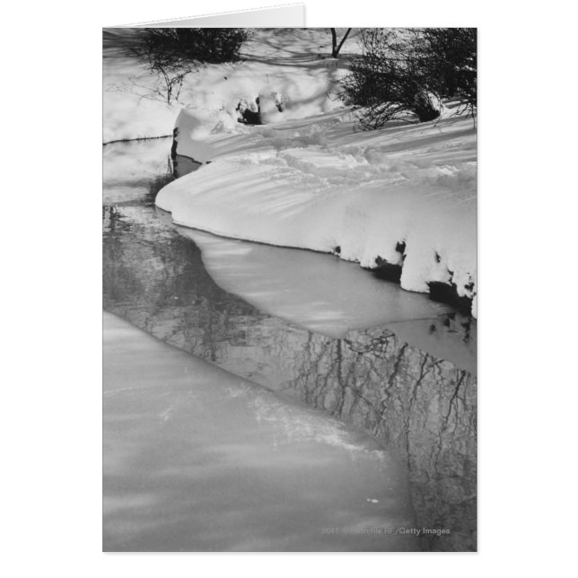 Stream im Winter B&W (Vorne)