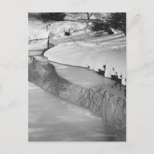 Stream im Winter B&W Postkarte (Vorderseite)