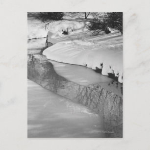 Stream im Winter B&W Postkarte