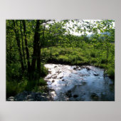 Stream in der Höhlendecke Poster (Vorne)