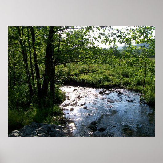 Stream in der Höhlendecke Poster (Vorne)