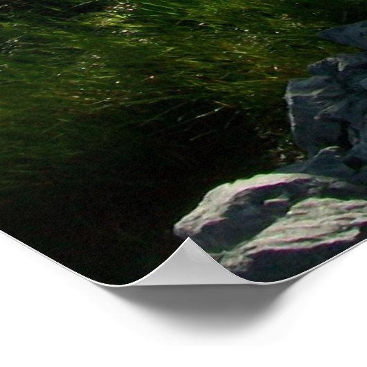 Stream in der Höhlendecke Poster (Ecke)