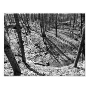 Stream in Highbanks Metropark, Columbus, Ohio Fotodruck