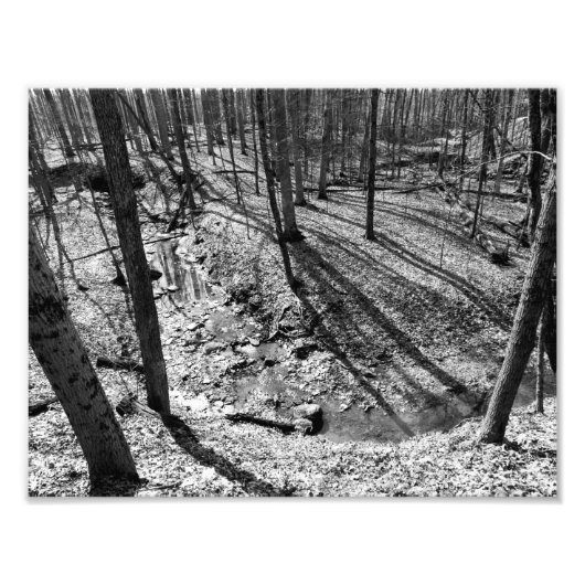 Stream in Highbanks Metropark, Columbus, Ohio Fotodruck (Vorne)