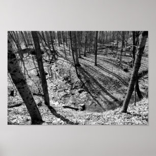 Stream in Highbanks Metropark (schwarz/weiß) Poster