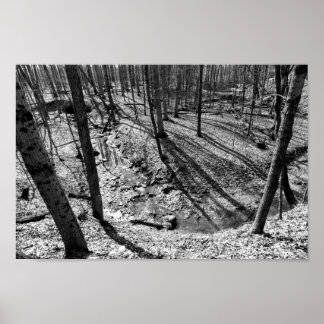 Stream in Highbanks Metropark (schwarz/weiß) Poster